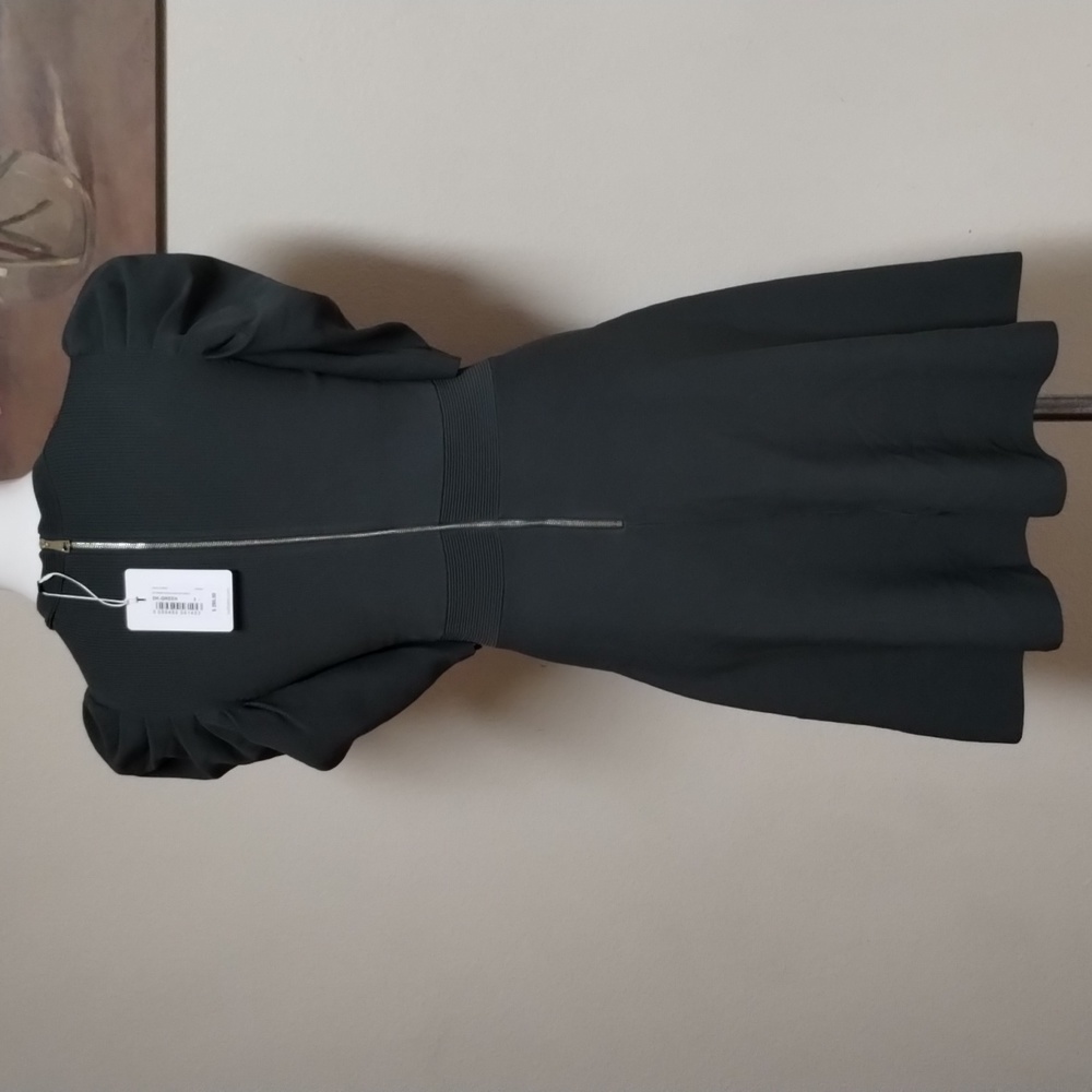 Ted Baker LLORNA Skater dress - Picture 5 of 8